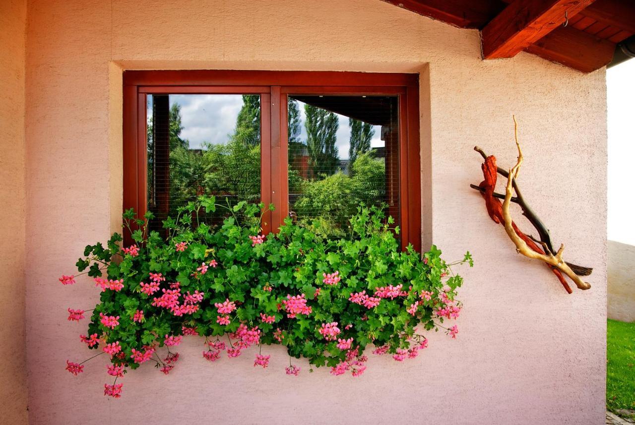 Penzion Plesnivec Poprad Ngoại thất bức ảnh